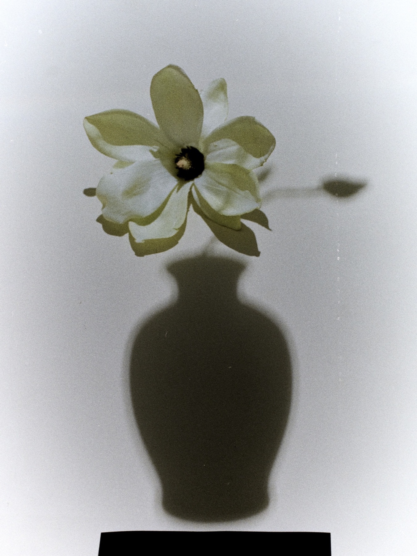 Profane, image 1 sur 5