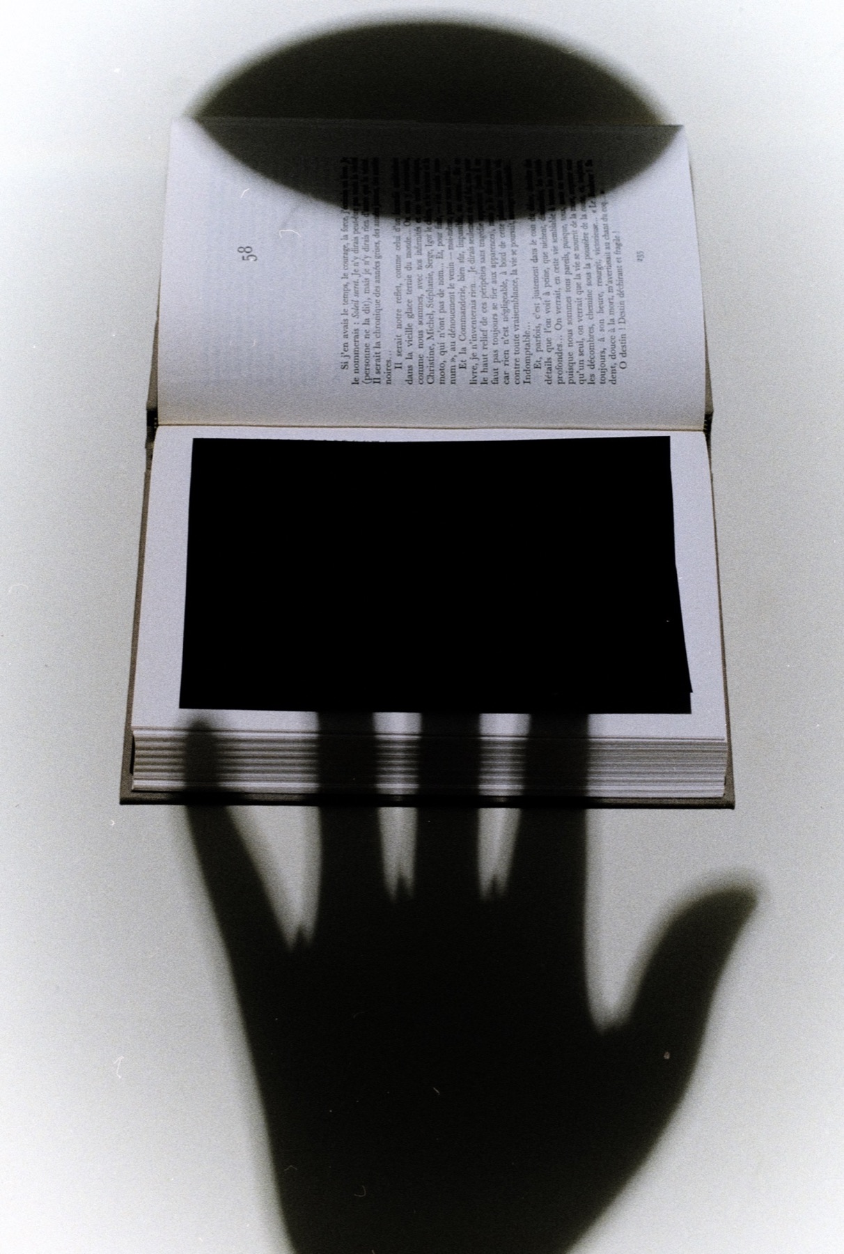 Profane, image 2 sur 5