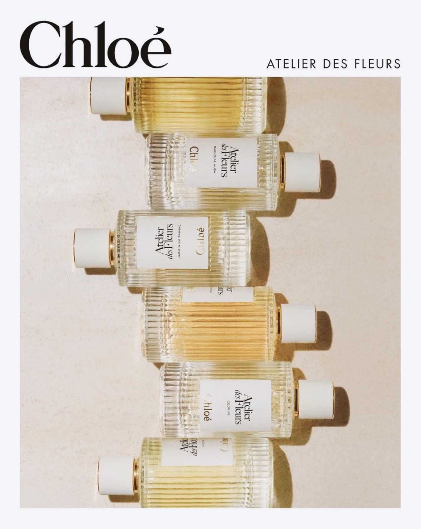 Chloé, image 1 sur 1