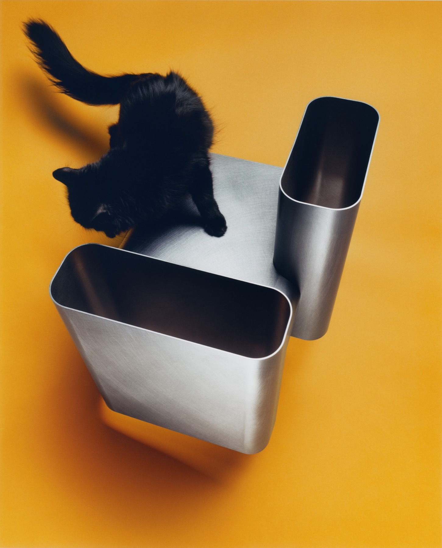 M le Monde, image 2 sur 6