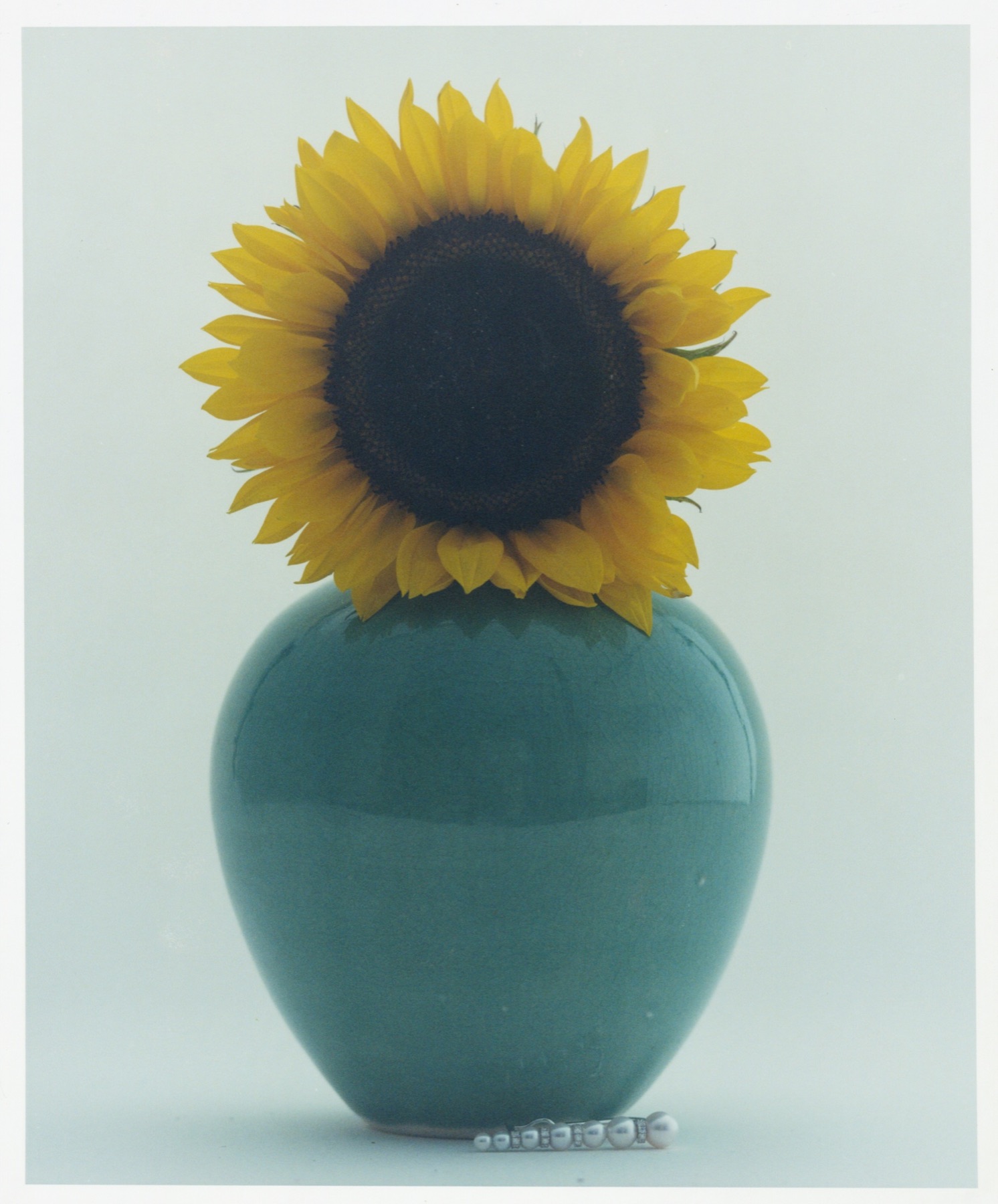 Silhouette, image 3 sur 10
