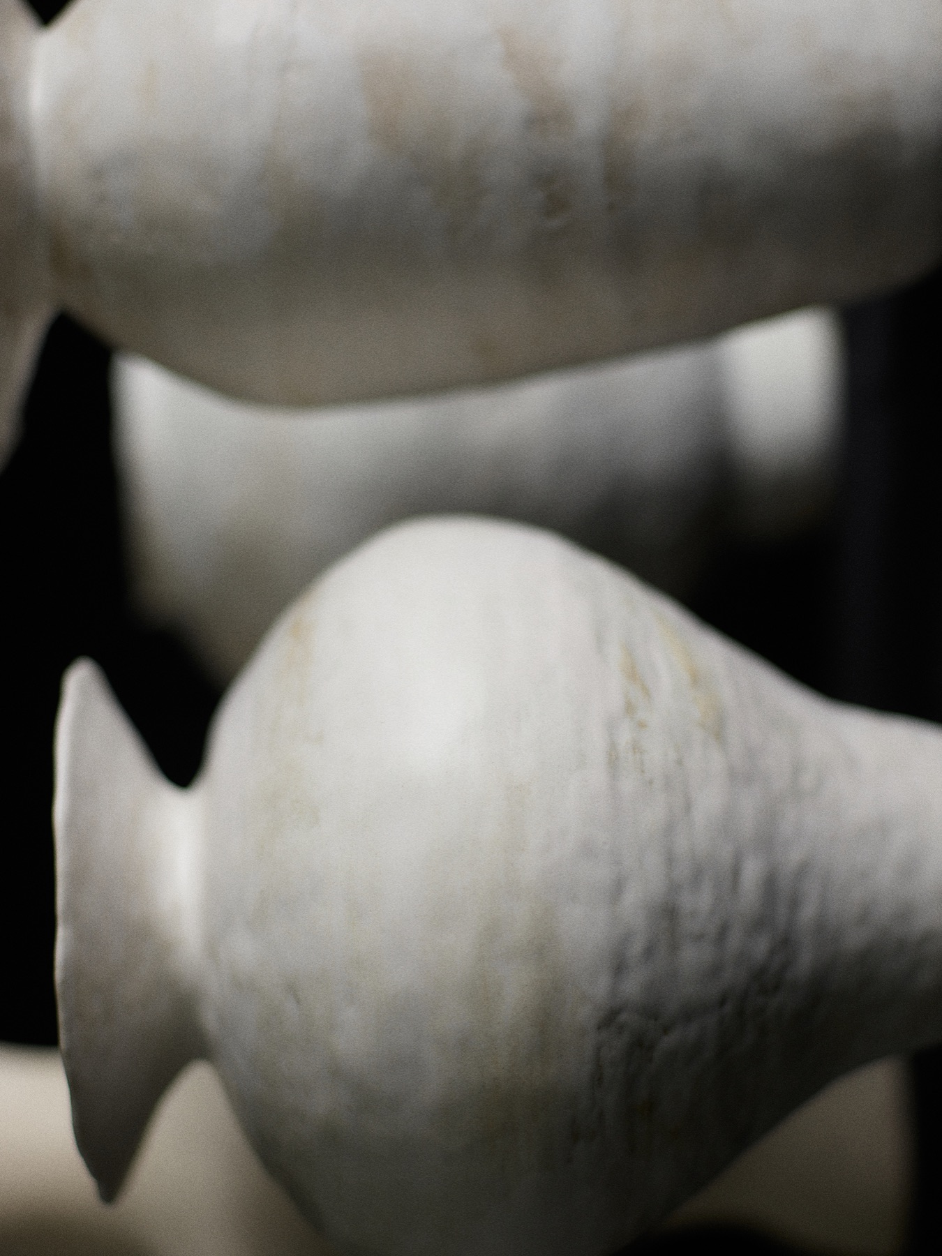 Personal Work 23, image 1 sur 1